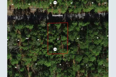 910 W Bannister Drive, Citrus Springs, FL 34434 - Photo 1