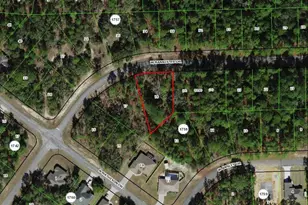 968 W Bannister Dr, Citrus Springs, FL 34434 - Photo 1