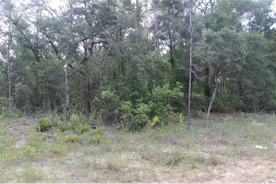 653 Vercelli Lane, Dunnellon, FL 34434 - Photo 2