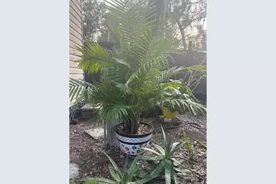 25244 NE 143rd  St #180, Salt Springs, FL 32134 - Photo 14
