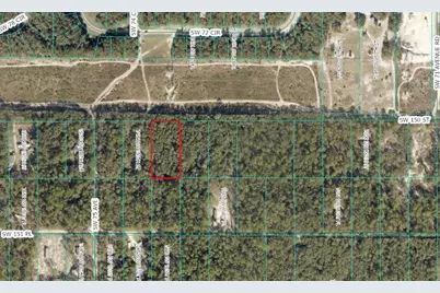Tbd SW 150th Street, Dunnellon, FL 34432 - Photo 2