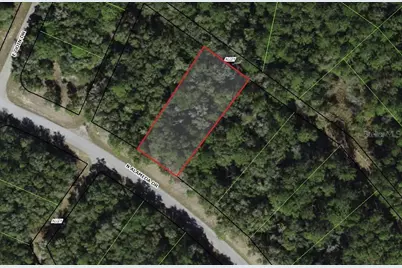 8755 N Alameda Drive, Dunnellon, FL 34434 - Photo 1