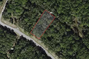 8755 N Alameda Dr, Dunnellon, FL 34434 - Photo 1