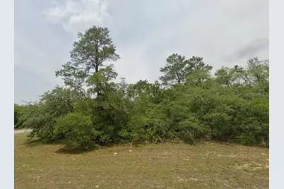 Lot 19 31st Court, Ocala, FL 34473 - Photo 8