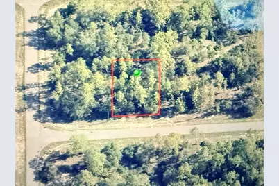 2881 W Huron Lane, Dunnellon, FL 34433 - Photo 1