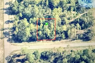 2881 W Huron Ln, Dunnellon, FL 34433 - Photo 1