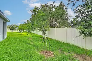 31115 Silver Stage Dr, Brooksville, FL 34602 - Photo 46