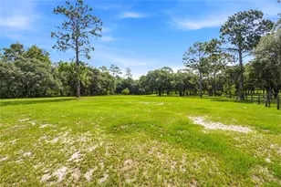 7391 SE 117th Terrace, Morriston, FL 32668 - Photo 2