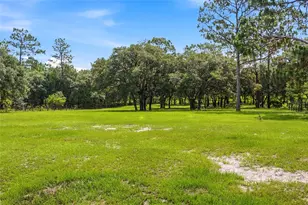 7391 SE 117th Terrace, Morriston, FL 32668 - Photo 36