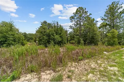 2499 SW 143rd Court, Ocala, FL 34481 - Photo 10