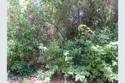 00 SE 142 Place, Summerfield, FL 34491 - Photo 2