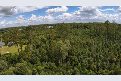 11005 SE 165th Terrace Road, Ocklawaha, FL 32179 - Photo 16