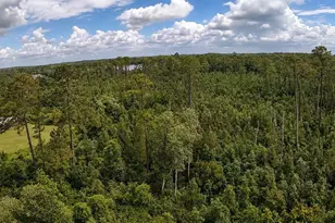 11005 SE 165th Terrace Rd, Ocklawaha, FL 32179 - Photo 16