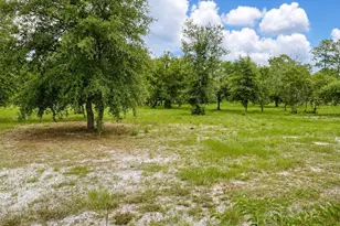 15355 SW 85th Ave, Dunnellon, FL 34432 - Photo 18