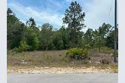 00 South Haven Court, Dunnellon, FL 34431 - Photo 1