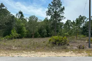 00 South Haven Ct, Dunnellon, FL 34431 - Photo 1