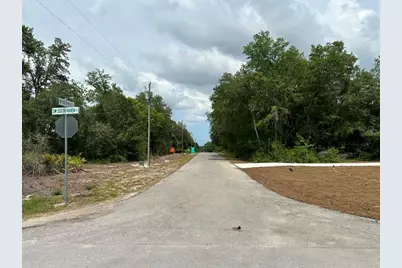 00 South Haven Court, Dunnellon, FL 34431 - Photo 4