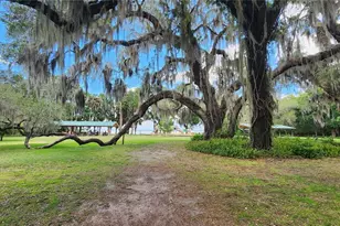 13495 SE 108th Ct Rd, Ocklawaha, FL 32179 - Photo 40