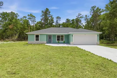 10 Bay Lane, Ocklawaha, FL 32179 - Photo 1