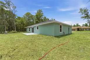 10 Bay Ln, Ocklawaha, FL 32179 - Photo 24