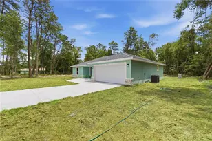 10 Bay Ln, Ocklawaha, FL 32179 - Photo 2