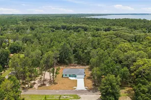 10 Bay Ln, Ocklawaha, FL 32179 - Photo 26
