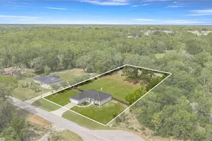 12421 SE 97th Ave, Belleview, FL 34420 - Photo 6