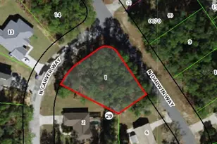 10085 N Carver Dr, Citrus Springs, FL 34434 - Photo 1