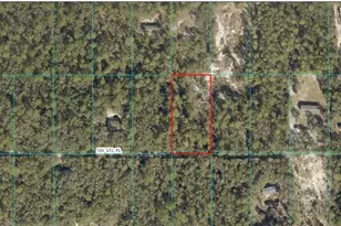 Tbd SW 151st Pl, Dunnellon, FL 34432 - Photo 1