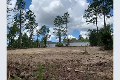 547 W Homeway Loop, Dunnellon, FL 34434 - Photo 4