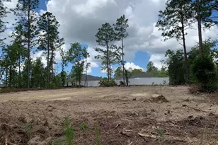 547 W Homeway Loop, Dunnellon, FL 34434 - Photo 4