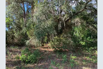 4081 W Findlay Street, Dunnellon, FL 34433 - Photo 2