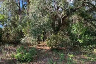 4081 W Findlay St, Dunnellon, FL 34433 - Photo 2