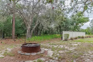1763 W Mc Neal Dr, Dunnellon, FL 34434 - Photo 38