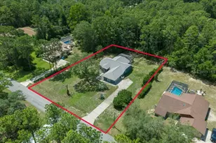 1694 W Pearson St, Hernando, FL 34442 - Photo 50