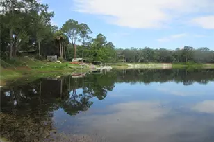 16849 SE 59th Pl, Ocklawaha, FL 32179 - Photo 28