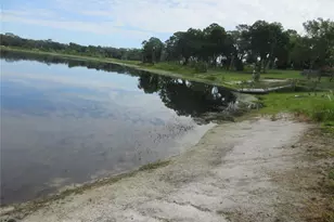 16849 SE 59th Pl, Ocklawaha, FL 32179 - Photo 26