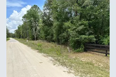 00 SW 98th Street, Dunnellon, FL 34432 - Photo 2