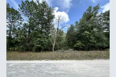 00 SW 98th Street, Dunnellon, FL 34432 - Photo 1