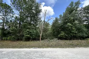 00 SW 98th St, Dunnellon, FL 34432 - Photo 1
