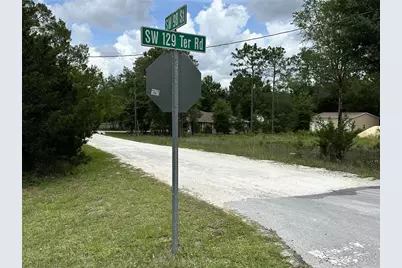 00 SW 98th Street, Dunnellon, FL 34432 - Photo 6