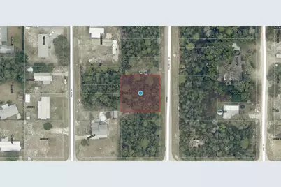 Tbd Palmetto Street, Paisley, FL 32767 - Photo 1