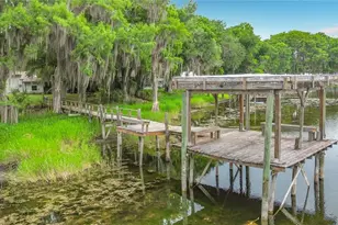 8980 E Devils Neck Rd, Floral City, FL 34436 - Photo 50