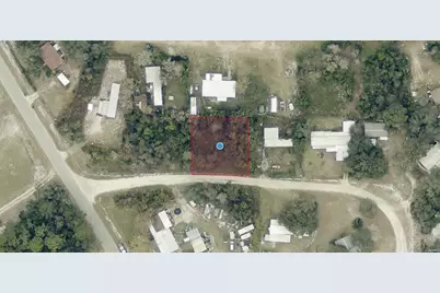 Tbd Palmetto Circle, Paisley, FL 32767 - Photo 1