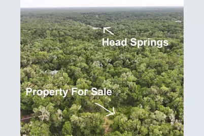 18731 SW 79th Place, Dunnellon, FL 34432 - Photo 4
