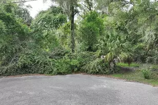 18731 SW 79th Pl, Dunnellon, FL 34432 - Photo 1