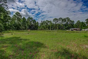 132 Glenside St, Georgetown, FL 32139 - Photo 46