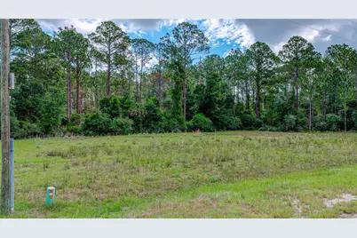 132 Glenside Street, Georgetown, FL 32139 - Photo 48