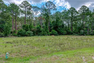 132 Glenside St, Georgetown, FL 32139 - Photo 48