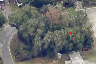 00 NE 172nd Pl, Citra, FL 32113 - Photo 1